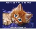 Milujte se a m�jte se r�di