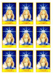 A�tar zp�edu se siln�m zlat�m r�mem - velikost 5,5x8,5 cm ( jako doklad do pen�enky, 9 obr�zk� )