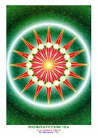 Povzbuzen� fyzick�ho t�la