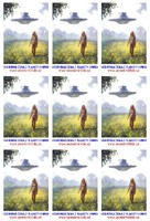 Vesm�rn� �ena s planety Ummo