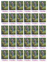 STR��N� AND�L (1)