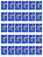 VESM�RN� P��TEL�