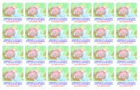 HARMONICK� A L�SKYPLN� �IVOT LID� NA NOV� ZEMI (2)