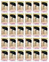 P�tros s hlavou v p�sku jako n�kte�� lid�